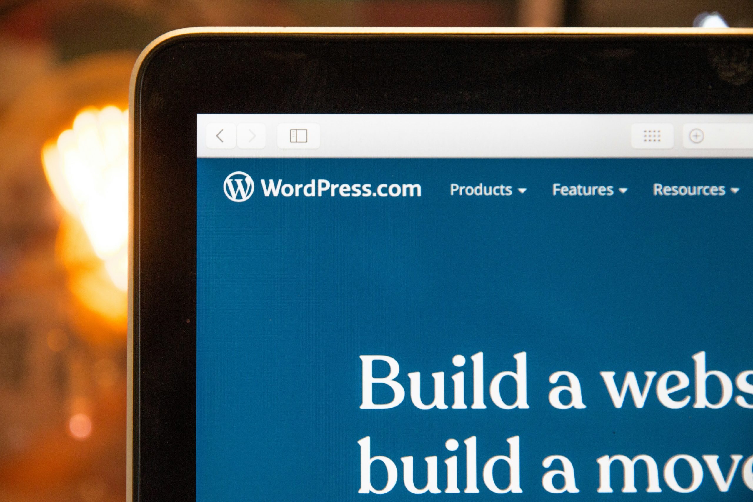 Wordpress picture Stephen Phillips