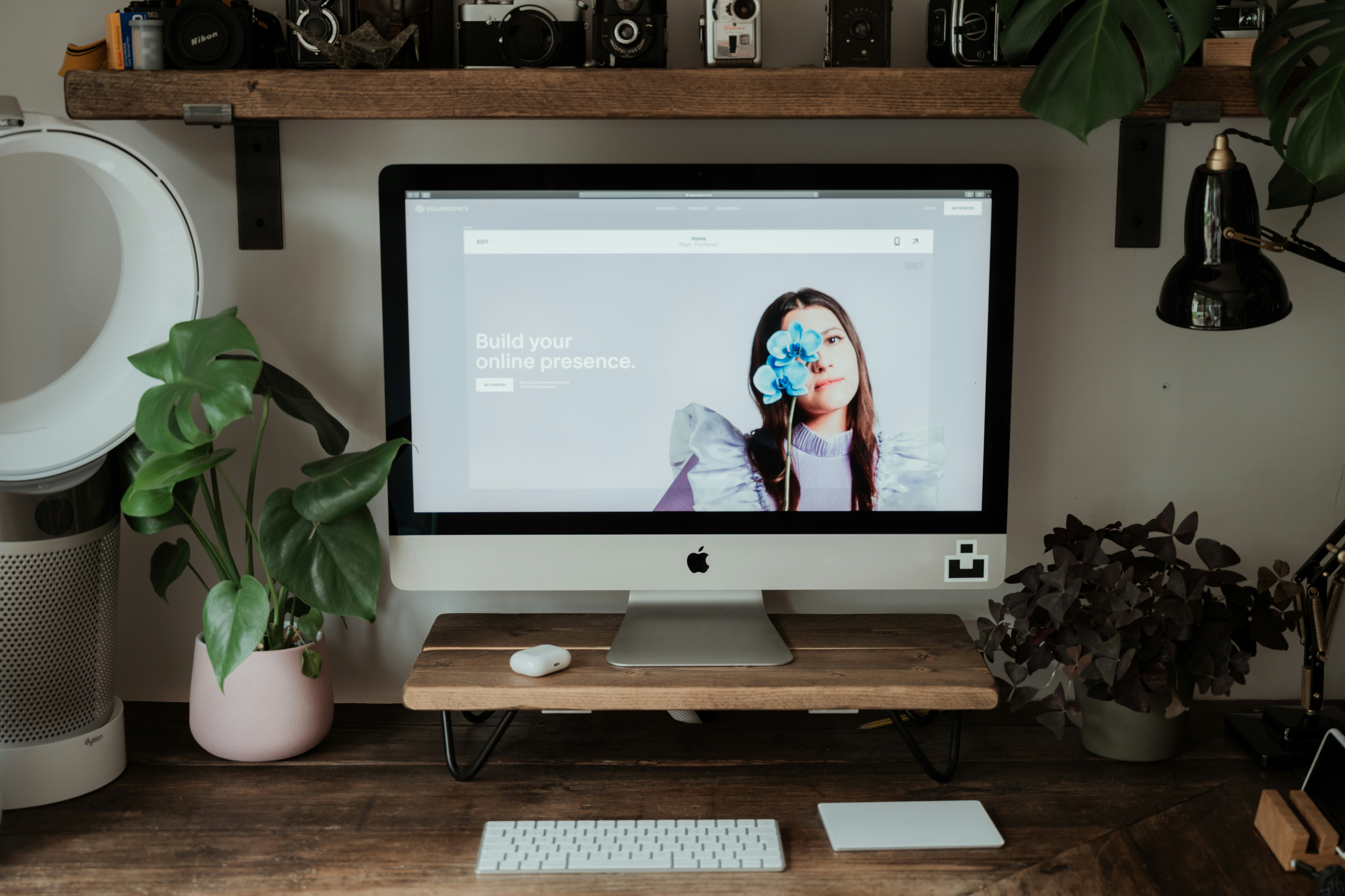 annie-spratt-gM8L2eUCVRE-unsplash
