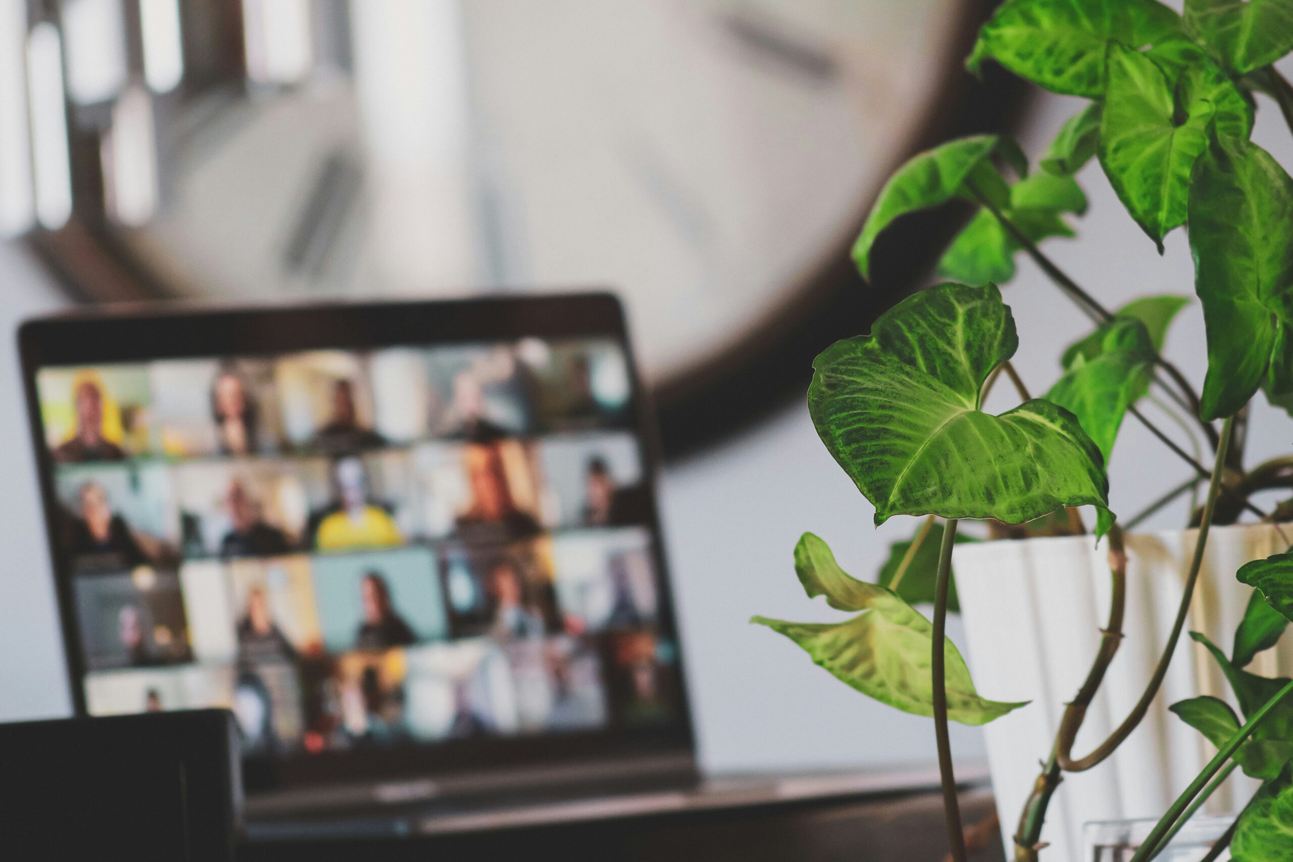 online course website