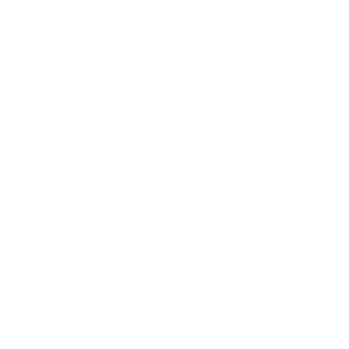 shopify-logo